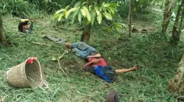 Seorang Pemuda Ditemukan Dalam Kondisi Tak Bernyawa di Kebun Miliknya